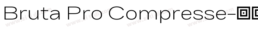 Bruta Pro Compresse字体转换